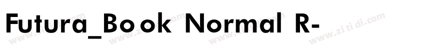 Futura_Book Normal R字体转换